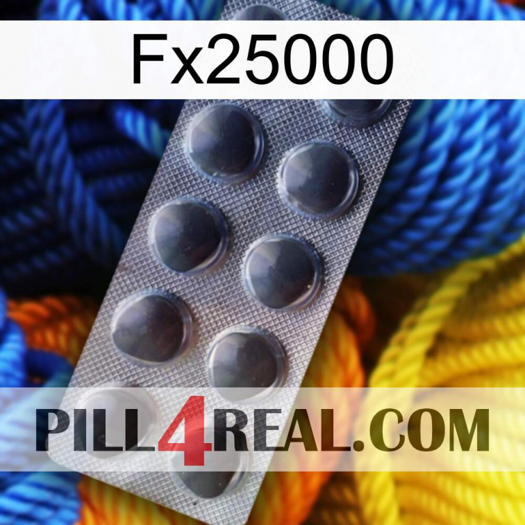 Fx25000 30